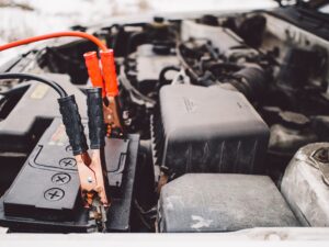 auto krokodillid